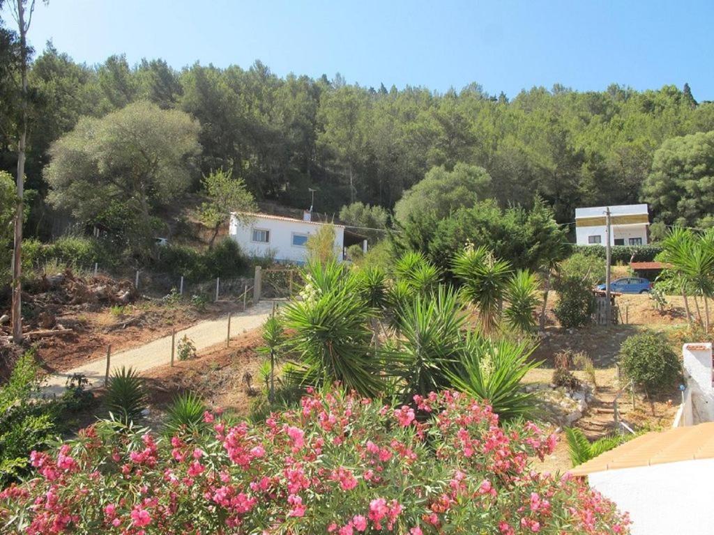 Villa Casa Do Avo Teixeira Sesimbra Exterior foto